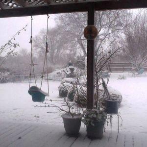 Meet your Posher, Annie